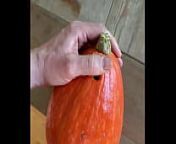 Pumpkin Fucker from food fuck
