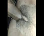 Fat desi pussy.. Rubbing my big black cock over my bew clients oussy from black pussy vagina