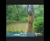 BearGayGrylls from bear grylls nude videos with penisw katrina kafi xxx porn com