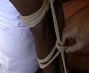 Ebony hogtied ball cleave gagged from hijab cleave gag