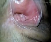 Wife's hairy ass and pussy from matures and grannies all spread out sucking cock and