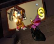 Amy and Rouge Ambushed (cm4) from cm4 pewnphw