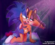 Sonic Porn - Sonic Fucks Sticks the Badger from sonic boom tails and cream porn xxx videos