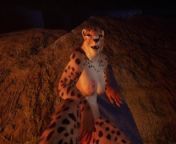 Camping | Furry | Wild life from porn camp