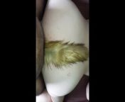 Foxy girl ride cock from anme