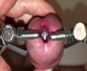 Urethral stretching with super device! My urethra is filled with sperm. from xxxفیلم سکس بااسب و