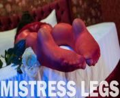 Mistress Legs In Red Shiny Pantyhose Play With Rose from ams bianka red pantyhose