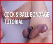 Cock And Ball Bondage Tutorial - Easy Guide How To Tie Cock & Balls With Shoelace & Satisfyer Orgasm from german solo