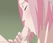Sakura og Sasuke sex Naruto Kunoichi Træner Hentai Anime Tegnefilm Blowjob bryster fisse masrurbatio from sasuke sex