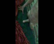 SEXY ASS GIRLS GETTING FUCK AT 100k Views from bur k bal saf karti mahila